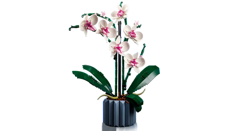 LEGO® 10311 Orchid V29
