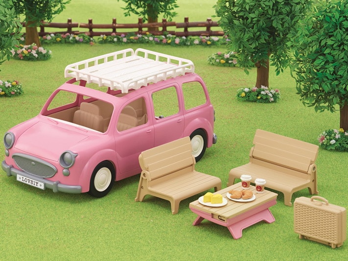 Family Picnic Van