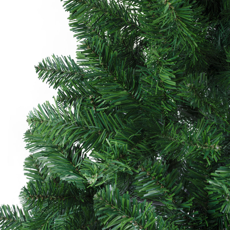 Imperial pine (10ft)