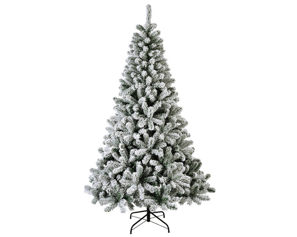 Monarch pine snowy (8ft)