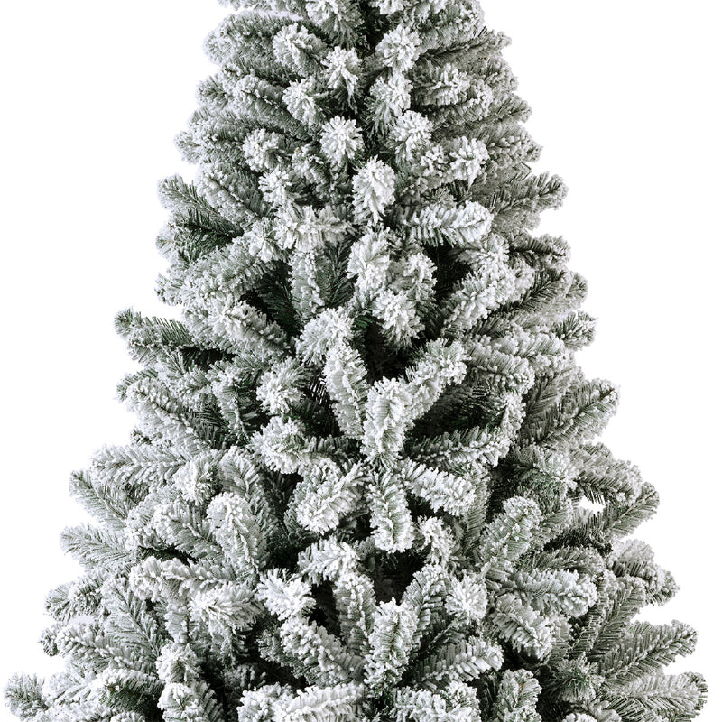 Monarch pine snowy (6ft)