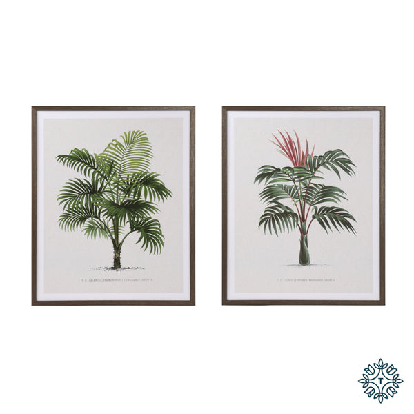 Framed print palm tree 40 x 50cm 2 asst
