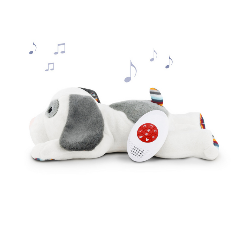 Musical Soft Toy - Dex