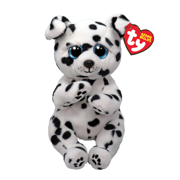 Rowdy SPOTTED DALMATIAN