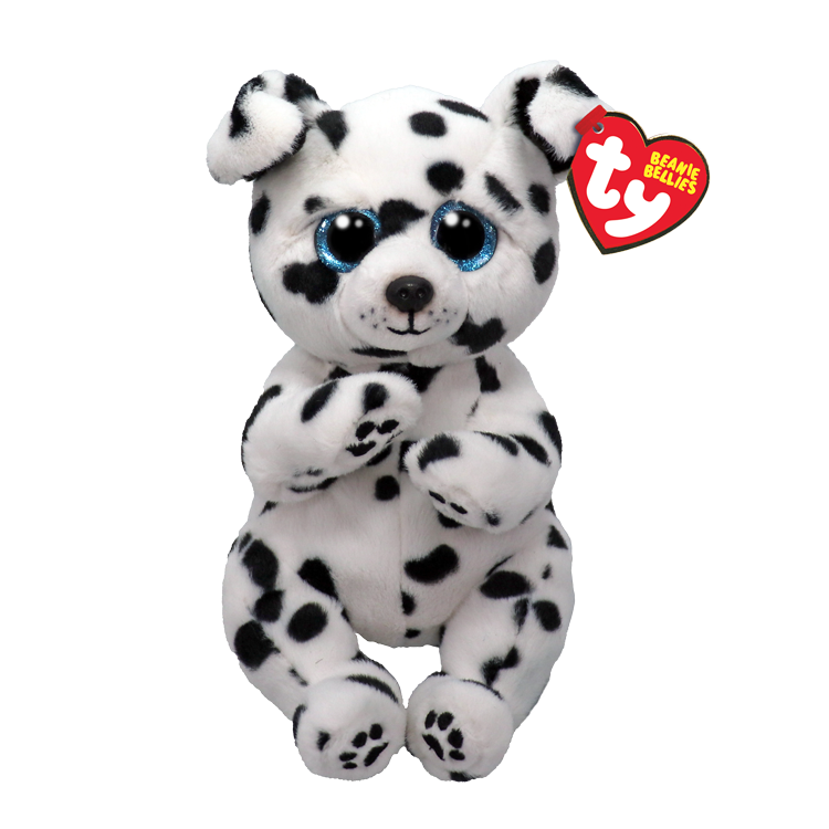 Rowdy SPOTTED DALMATIAN