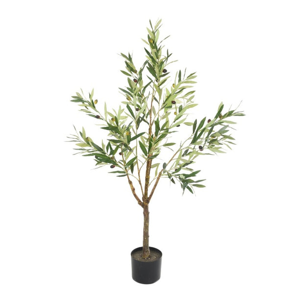 OLIVE TREE IN POT 120CM